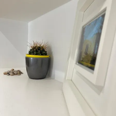 Green Home Apartman *