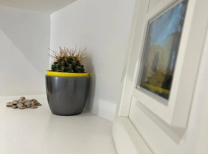 Green Home Apartmán *